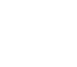Plane Sillouette