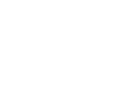 Plane Sillouette